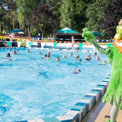 Verwarmd buitenzwembad met ligweide op de camping in Helden